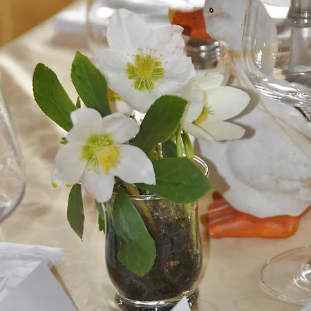 Affittacamere Fruehstueckspension Seeberghof