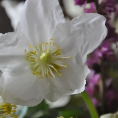 Fruehstueckspension Seeberghof 4* Seewiesen