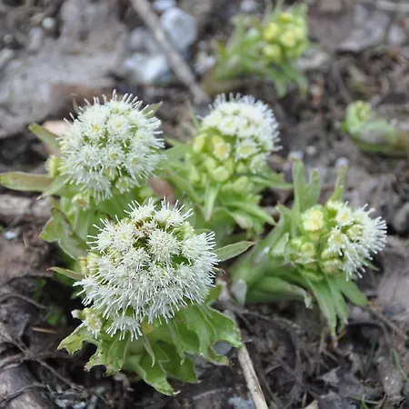 Fruehstueckspension Seeberghof 4*