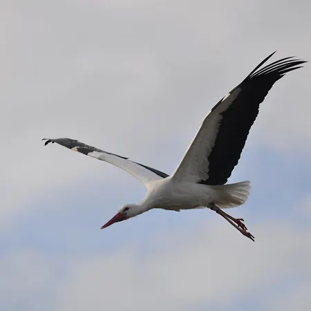 Vendégház Fruehstueckspension Seeberghof Seewiesen