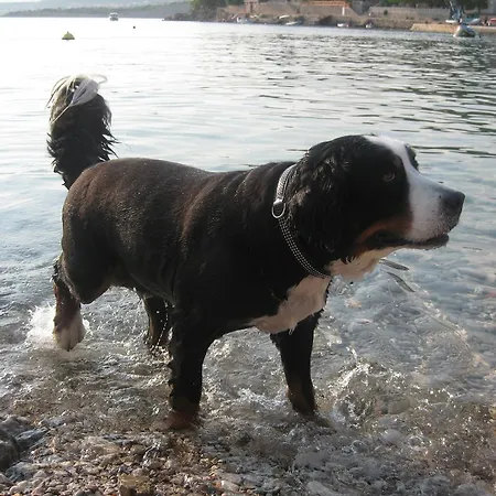 Fruehstueckspension Seeberghof Affittacamere 4*