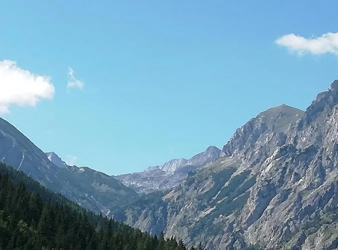 Fruehstueckspension Seeberghof بيت ضيافة Seewiesen