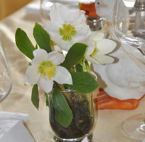 ゲストハウス Fruehstueckspension Seeberghof