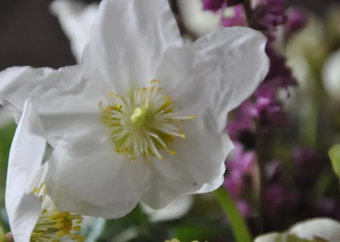 Fruehstueckspension Seeberghof 4* Seewiesen