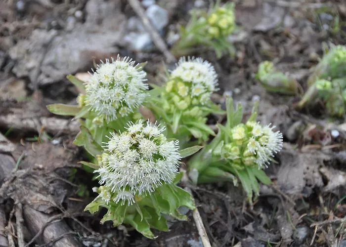 Fruehstueckspension Seeberghof 4*