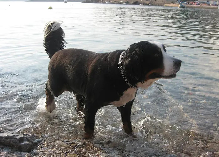 Fruehstueckspension Seeberghof ゲストハウス 4*